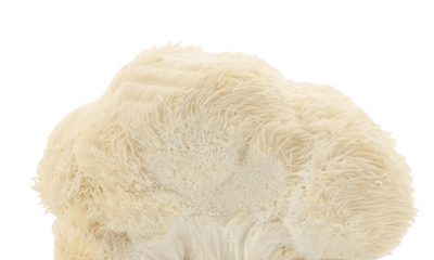 Lion’s Mane